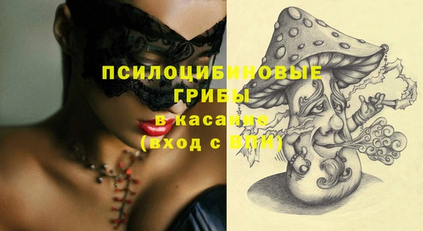 шишки Волгодонск