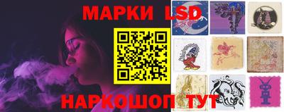 PSILOCYBIN Гатчина