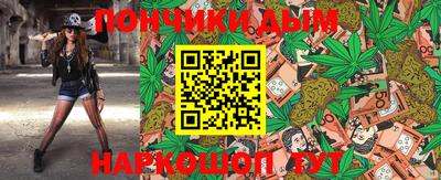 PSILOCYBIN Гатчина