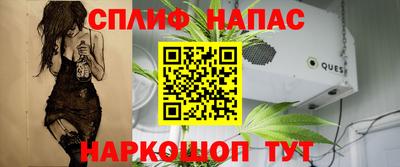 PSILOCYBIN Гатчина