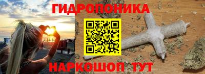 PSILOCYBIN Гатчина