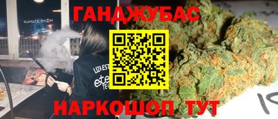 PSILOCYBIN Гатчина