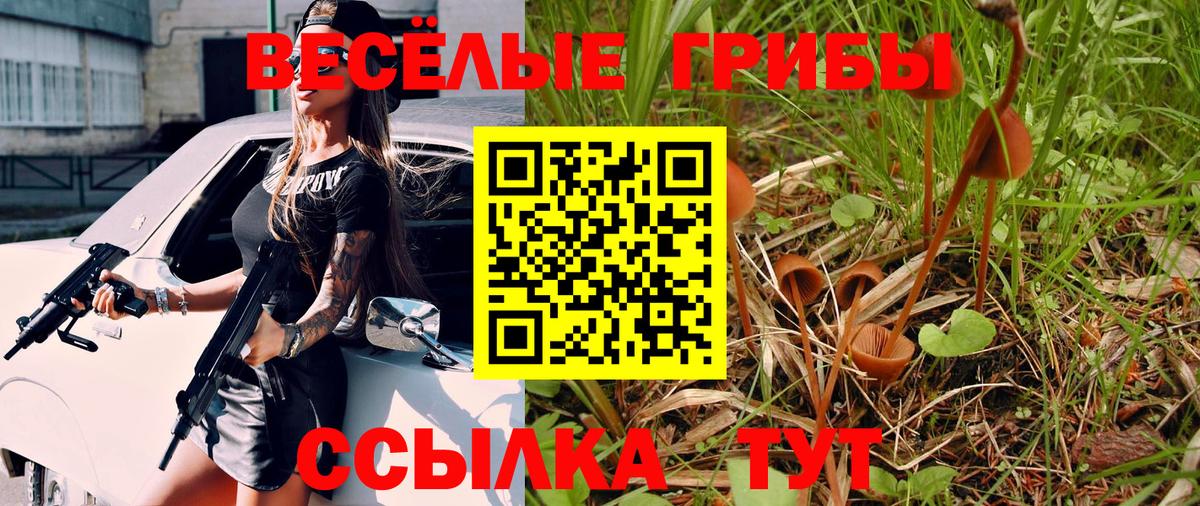 Псилоцибиновые грибы Magic Shrooms  Псилоцибиновые грибы Psilocybine cubensis  Вход с VPN  Анжеро-Судженск 