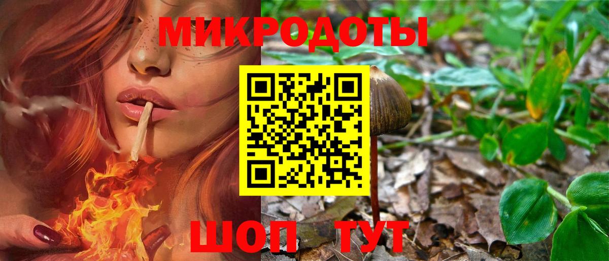 Анжеро-Судженск  Галлюциногенные грибы мицелий  что такое   Вход с VPN 