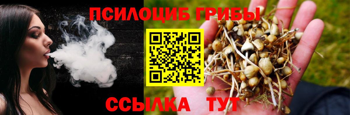 Псилоцибиновые грибы ЛСД Анжеро-Судженск